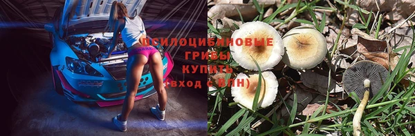 apvp Верхний Тагил